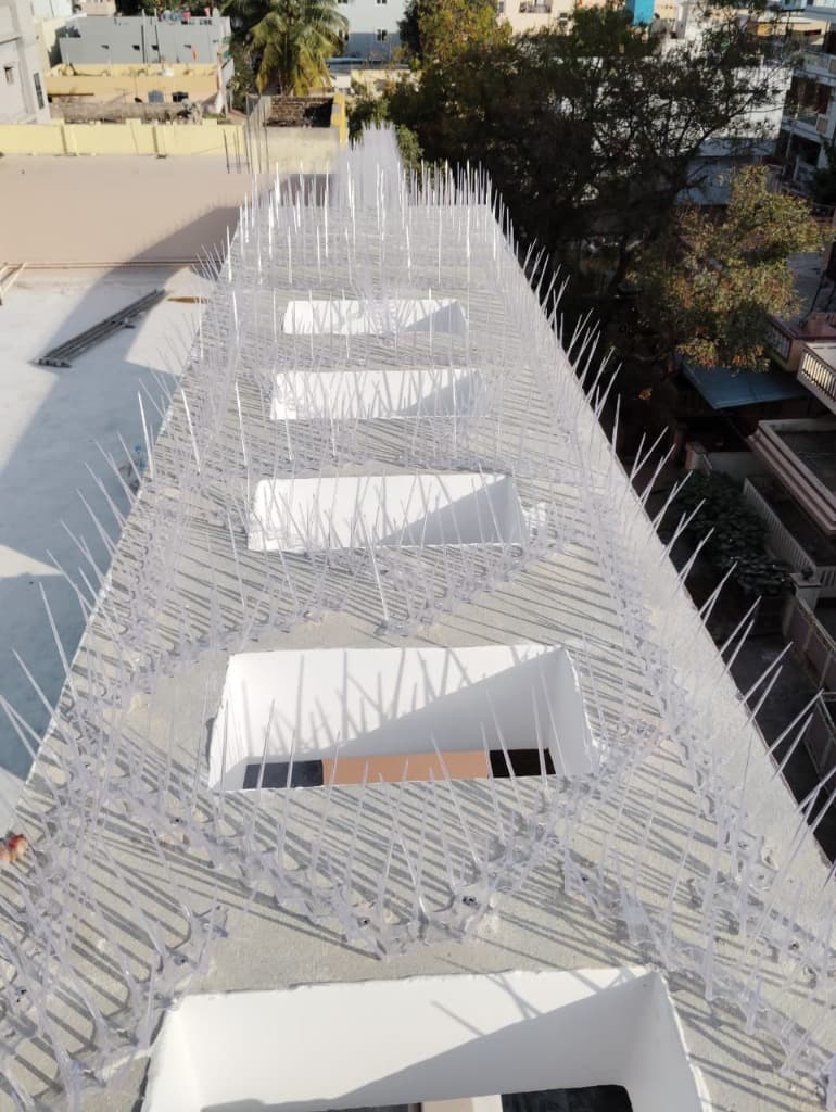 Roof Top Anti-Bird Spikes Protection System